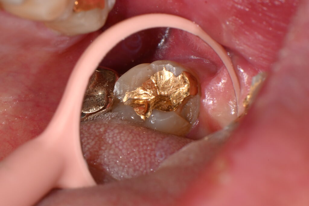 kakaotalk 20251106 001834525