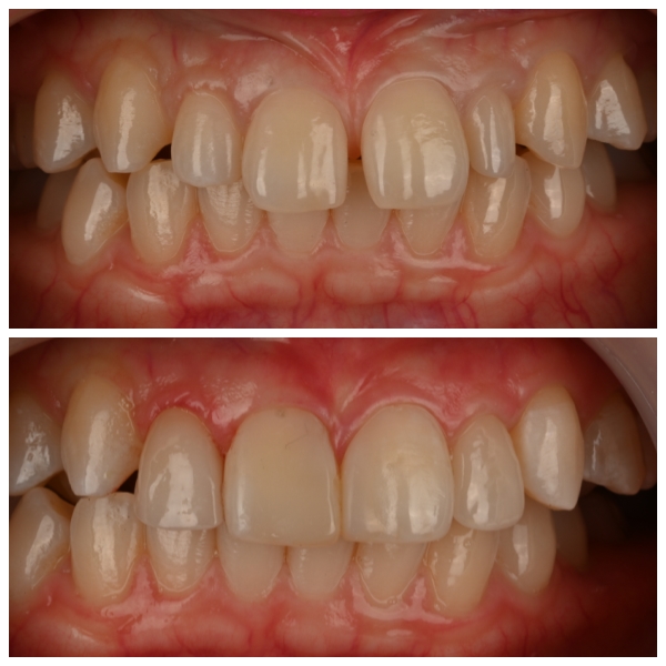 layout 2026 2 23 (1)