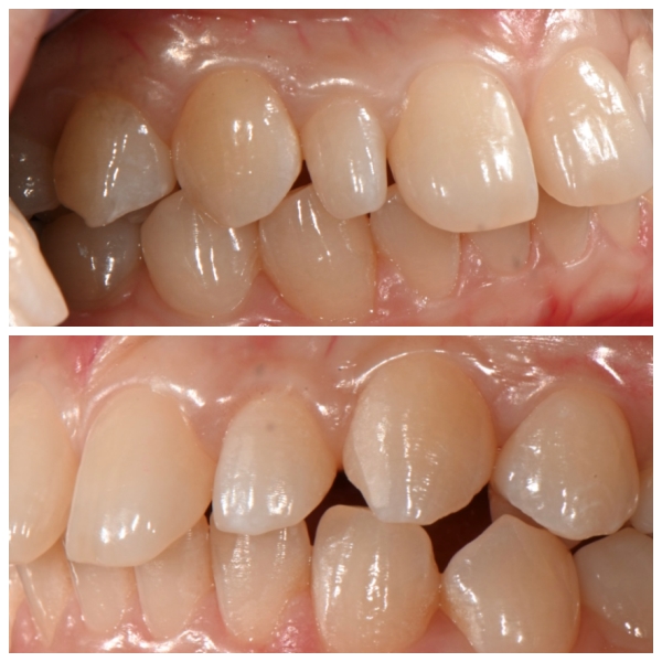 layout 2026 2 23 (1)