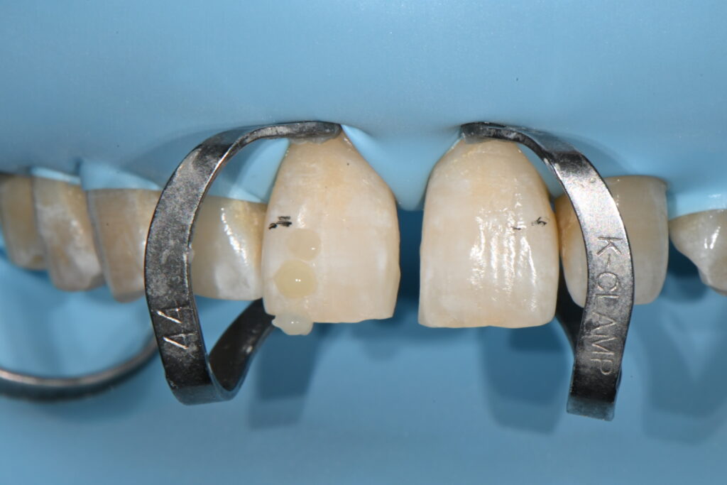 p20260221 114256540 54401c26 6684 41c7 b566 fe275c31fc3d