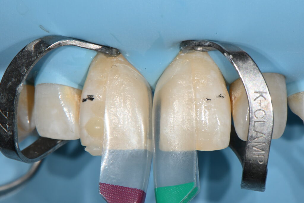 p20260221 115843160 c82a149f 846c 4a13 80e0 559bad055075